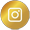 social inst